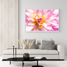 Poster De Dahlia Branca E Rosa