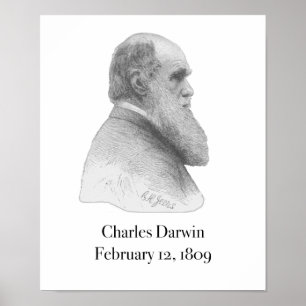 Poster de Darwin