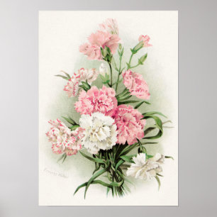 poster de decoração doméstica de cravos brancos