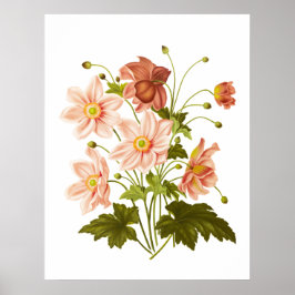 Poster de decoração floral de safra