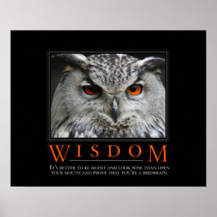 Poster de Demotivational da sabedoria