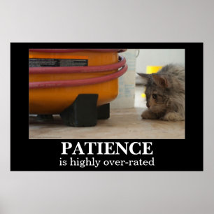Poster de Demotivational do gato e do rato da