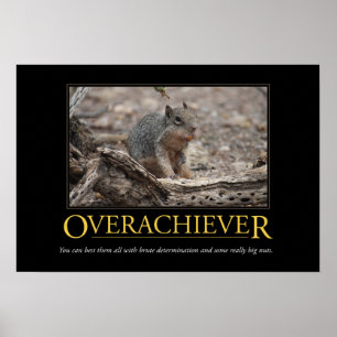 Poster de Demotivational: Overachiever