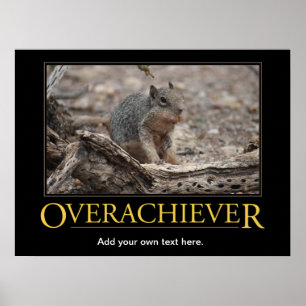 Poster de Demotivational: Overachiever