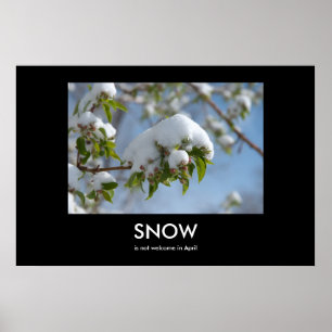 Poster de Desativação da Neve de abril