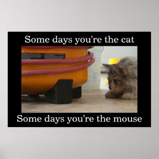 Poster de Desativação de Gato e Rato