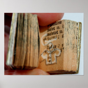 Poster de Desenho da Jaqueta do Livro Miniatura Di