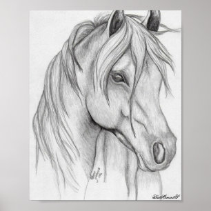 poster de desenho de cavalos