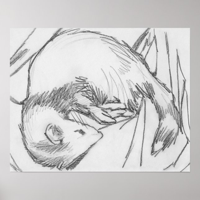 poster de desenho de furão "Stripe" (Frente)