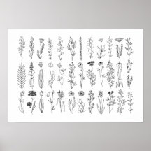 Poster De Desenho De Tinta De Flores E Plantas