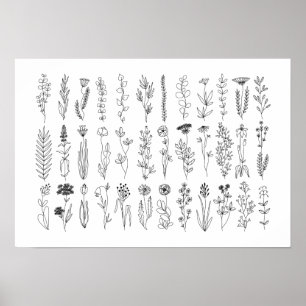 Poster De Desenho De Tinta De Flores E Plantas