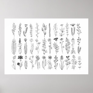 Poster De Desenho De Tinta De Flores E Plantas