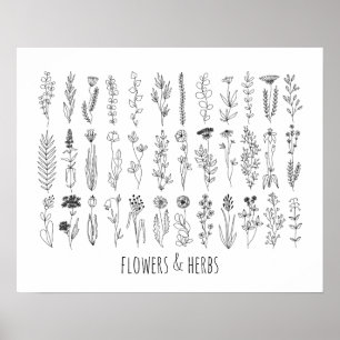 Poster De Desenho De Tinta De Flores E Plantas