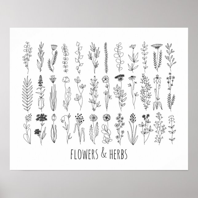 Poster De Desenho De Tinta De Flores E Plantas (Frente)