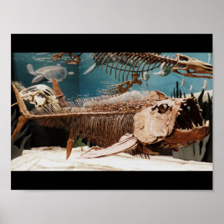 Poster de Dino Aquático