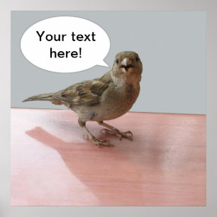 Poster de Disparador de Chattering