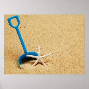 Poster de Diversão de Praia de Pá e Estrelas