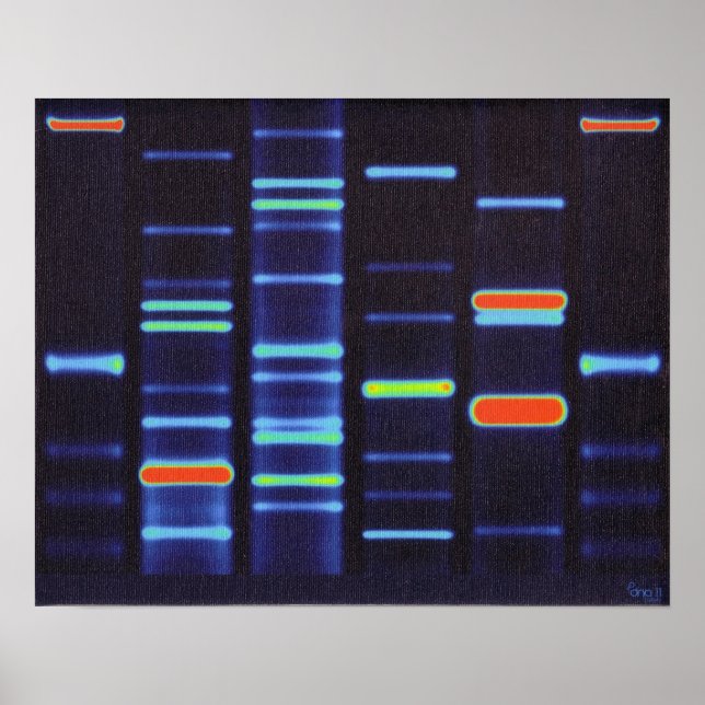 POSTER de DNA (Frente)
