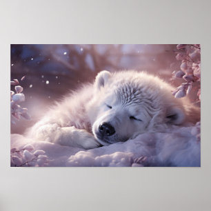 Poster de Dormir no Urso Polar