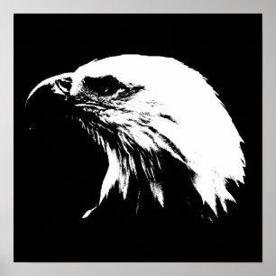 Poster de Eagle