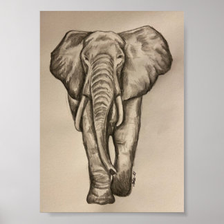 Poster de elefante