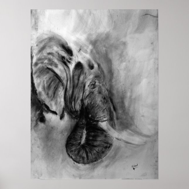 poster de elefante 18x24 (Frente)