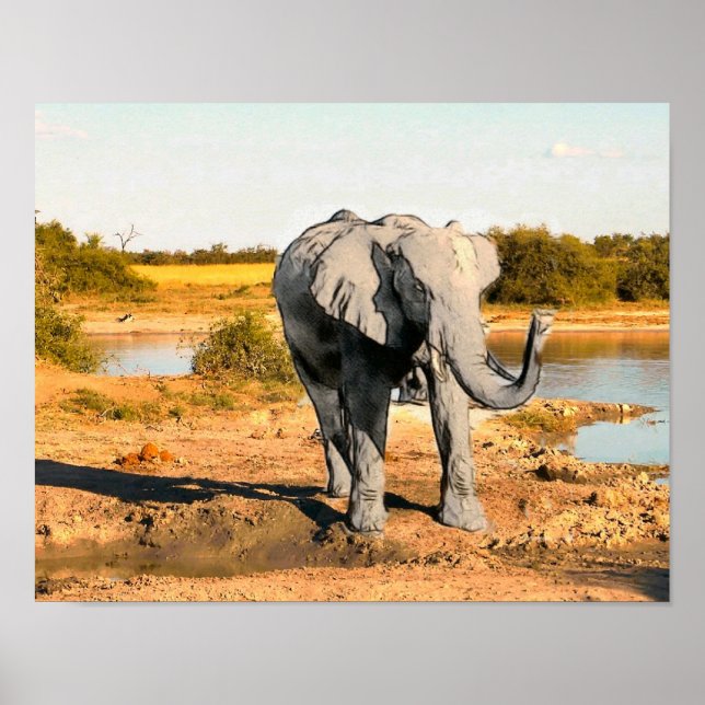 Poster de Elefante Africano (Frente)