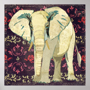 Poster de Elefante Branco