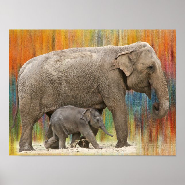 Poster de elefante para mãe e bebê (Frente)