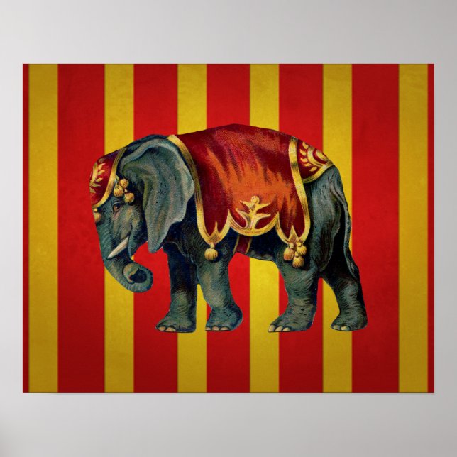 poster de elefante vintage circus (Frente)