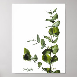 Poster de Elegante Minimalista Eucalyptus