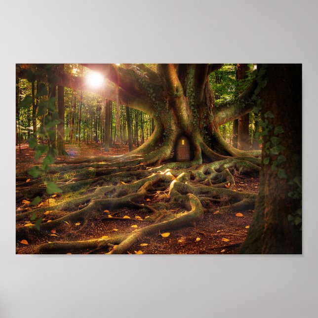 poster de elfin treehouse (Frente)