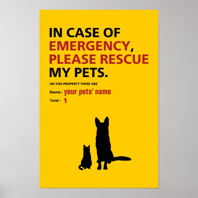 Poster de emergência (cão e gato) (Frente)