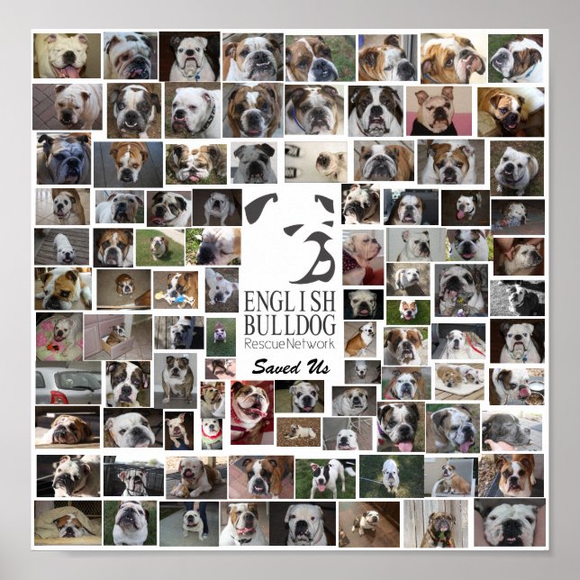 Poster de Emergência do BERN (Frente)