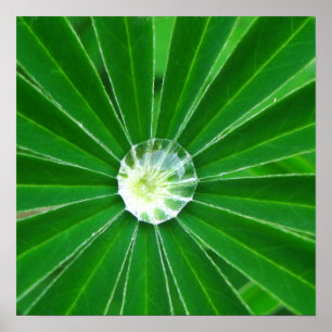 Poster de energia verde