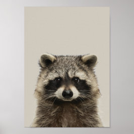 Poster de Enfermeiro de Bebês - Racoon