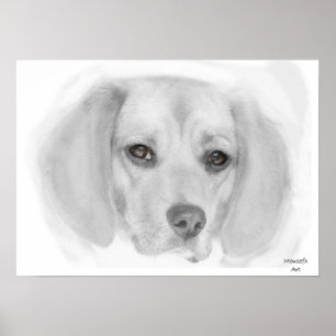 Poster de esboço de besouro