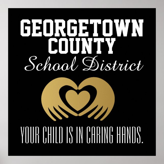 Poster de Escola/Distrito Escolar - SRF (Frente)