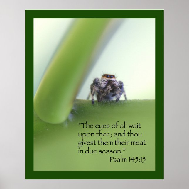 Poster De Escritura Psalm 145:15 (Frente)