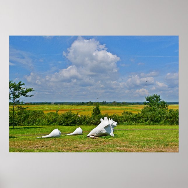 Poster de escultura de Shell (Frente)