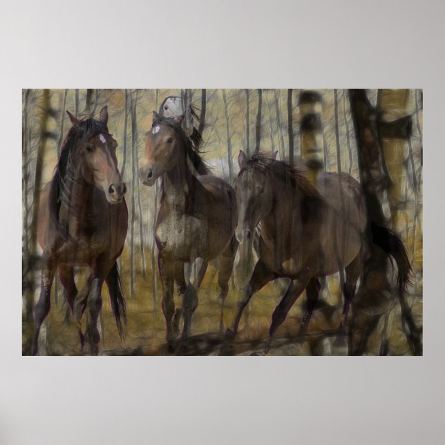 Poster de Espírito Everduradouro (Frente)