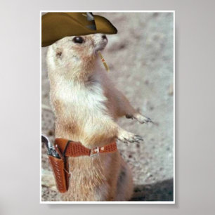 Poster de Esquilo Gun Slinger