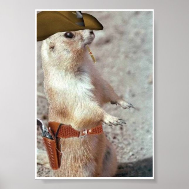 Poster de Esquilo Gun Slinger (Frente)