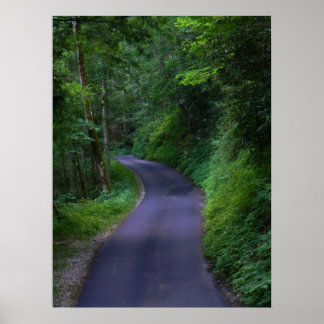 Poster de estrada country