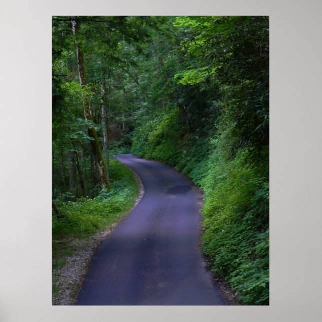 Poster de estrada country (Frente)