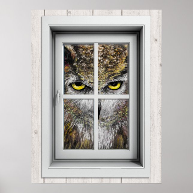 Poster de Exibição de Janela (Frente)