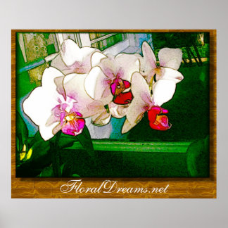 Poster de explosão orquídea