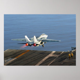 Poster de F-14 Tomcat