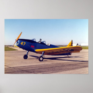 Poster de Fairchild PT-19 Cornell