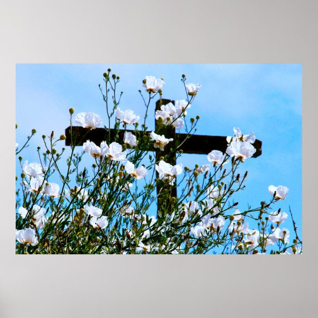 Poster de FAITH (Frente)